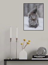 Squirrel garden gnome Poster och Canvastavla