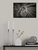 Poster och Canvastavla