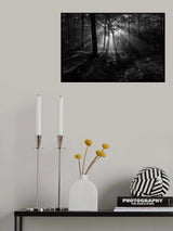A Sunny Morning Poster och Canvastavla