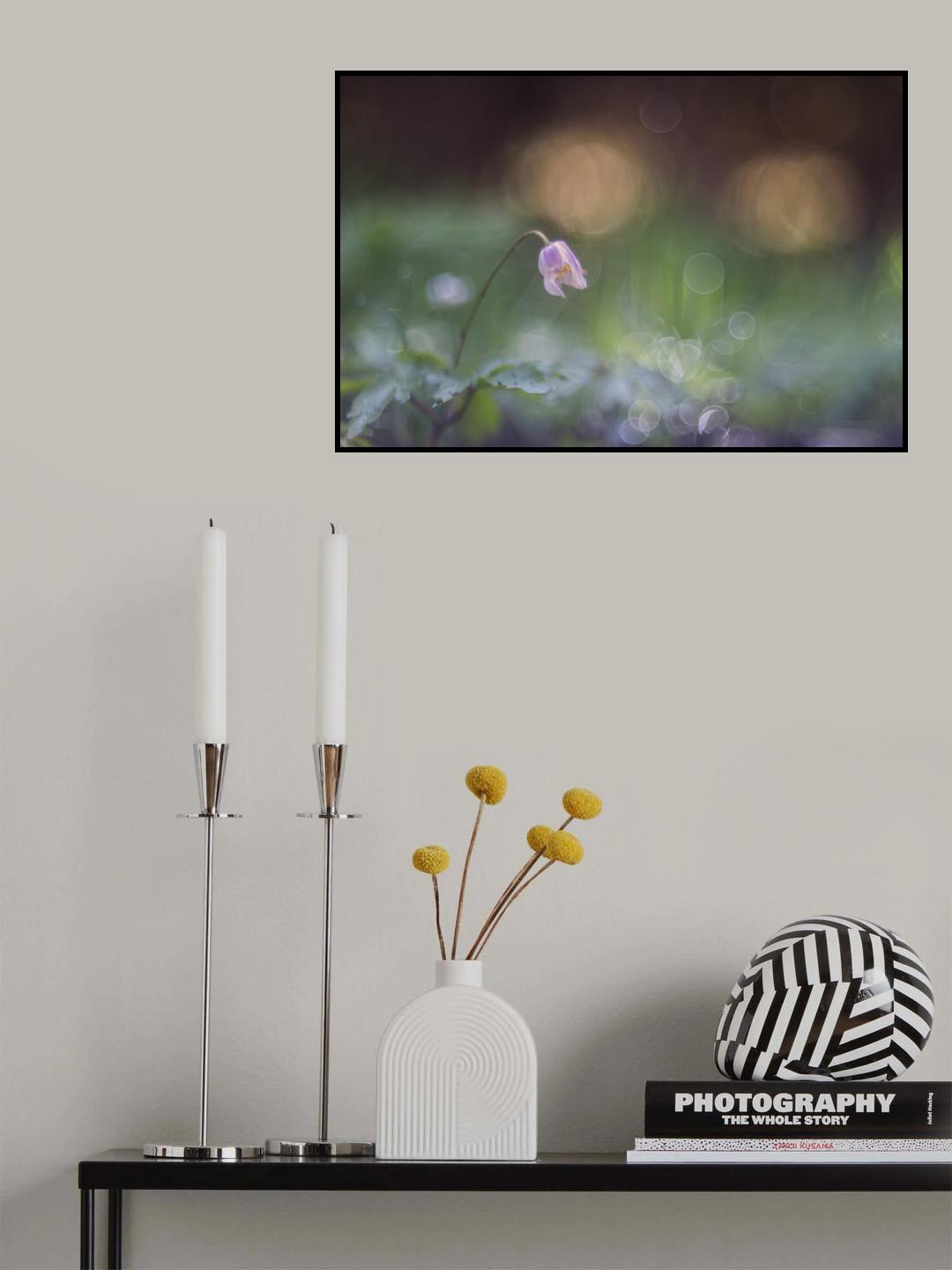 Fade away Poster och Canvastavla