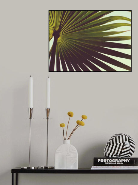 Palm Textures Poster och Canvastavla