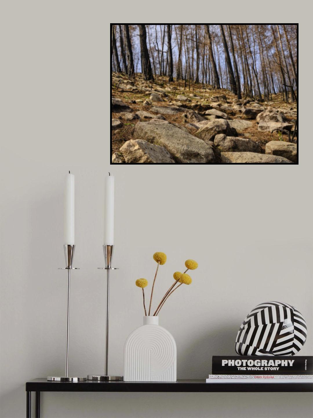 burnt trees in the forest Poster och Canvastavla