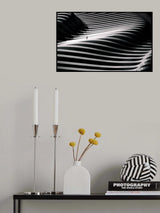 Imaginary Poster och Canvastavla