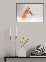 Snow is falling… Poster och Canvastavla