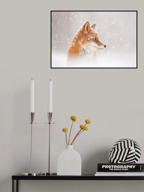 Snow is falling… Poster och Canvastavla