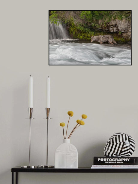 Salmon Fishing Wolf Poster och Canvastavla