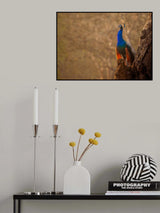 Serene Poster och Canvastavla