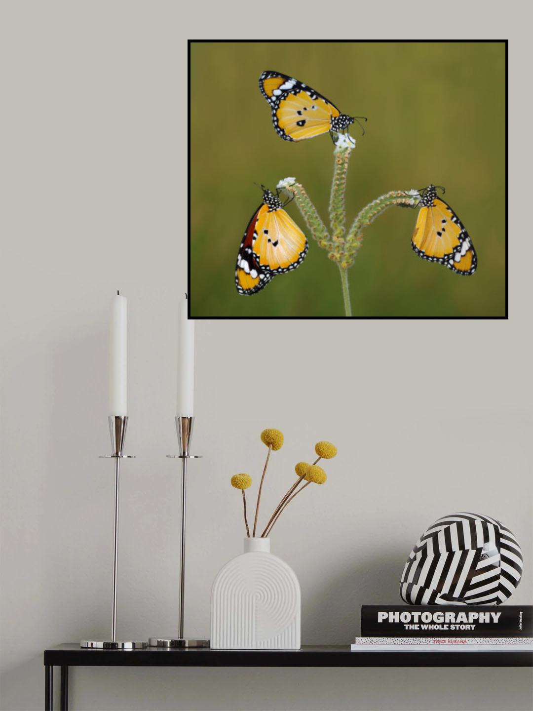 three Poster och Canvastavla