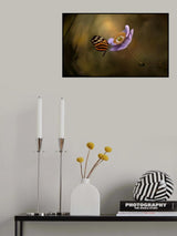 Lightness of Being Poster och Canvastavla