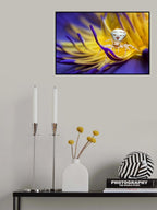 White Crab Spider Poster och Canvastavla