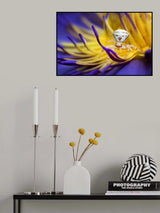 White Crab Spider Poster och Canvastavla