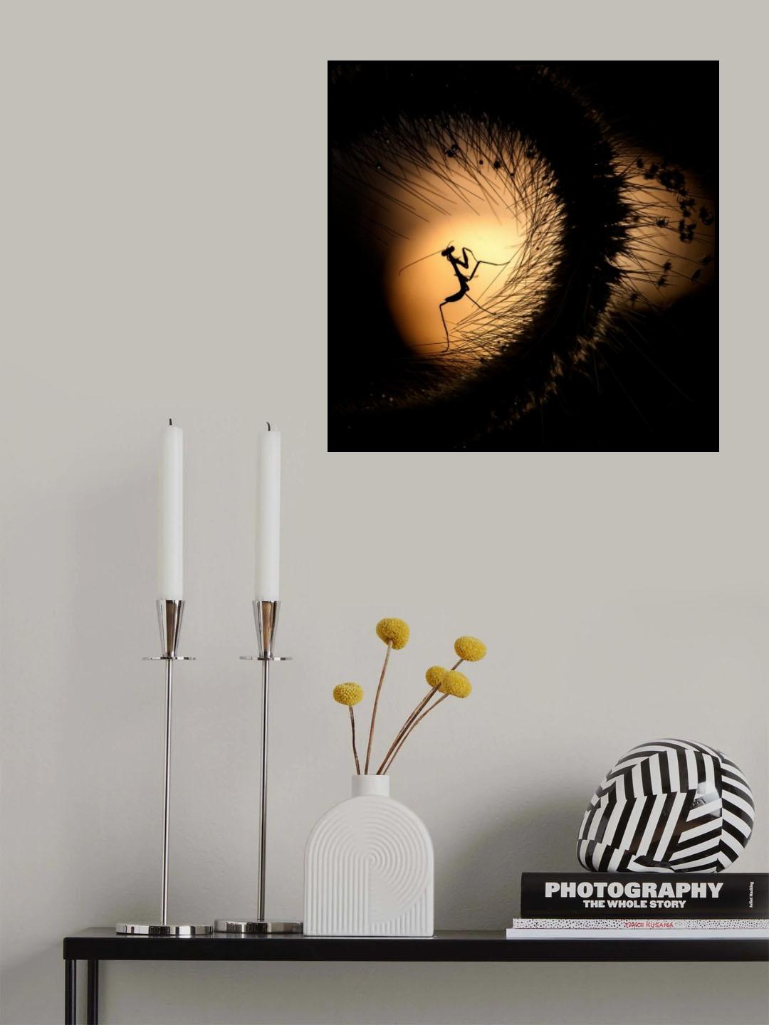 Our World Poster och Canvastavla