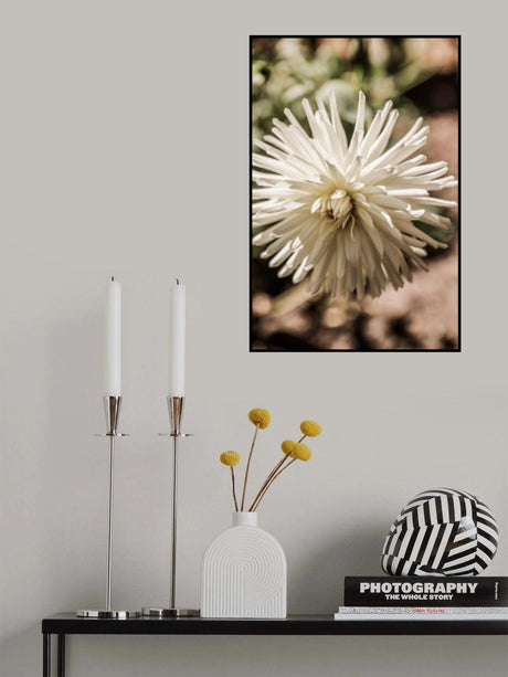 Summer Bloom Poster och Canvastavla