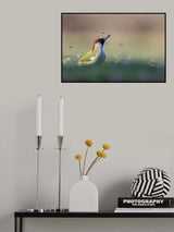 Among the flowers and the bees Poster och Canvastavla