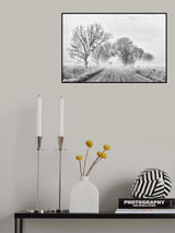 Foggy morning Poster och Canvastavla