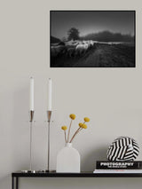 Foggy memory  of the past Poster och Canvastavla