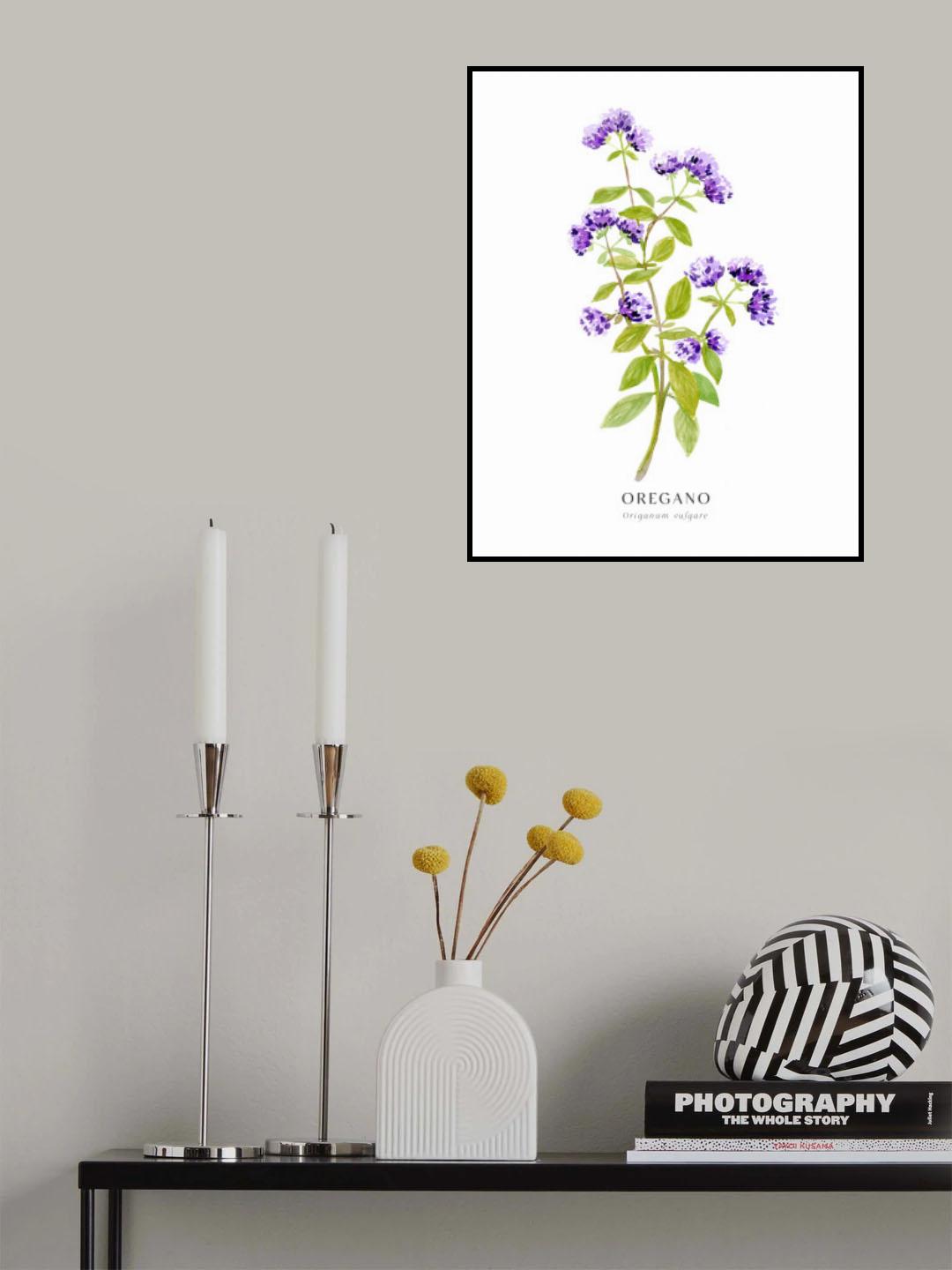 Oregano I Poster och Canvastavla