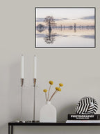 Caddo Lake 9 Poster och Canvastavla