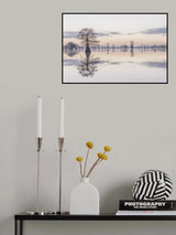 Caddo Lake 9 Poster och Canvastavla