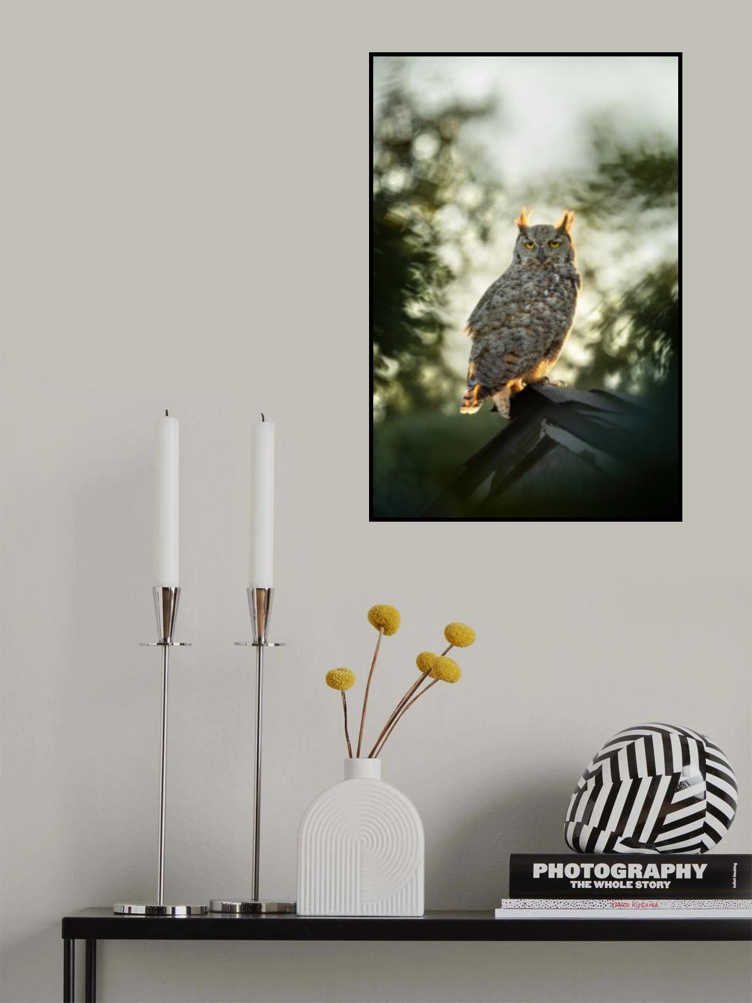 Perched under sunset Poster och Canvastavla