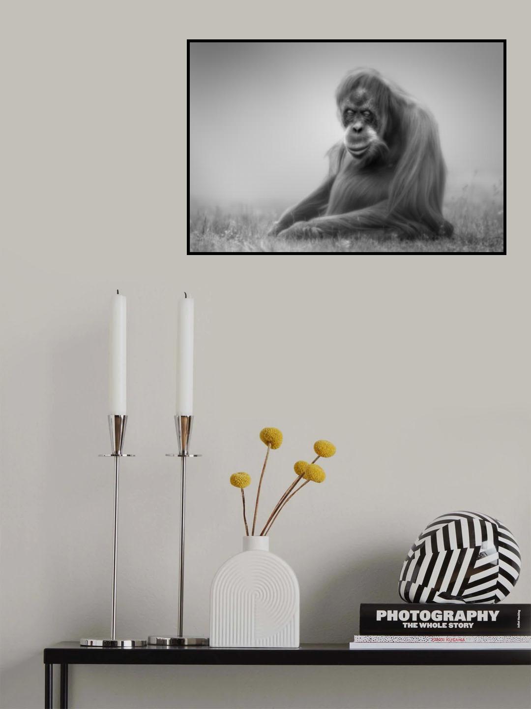 dreamy Poster och Canvastavla