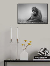 dreamy Poster och Canvastavla
