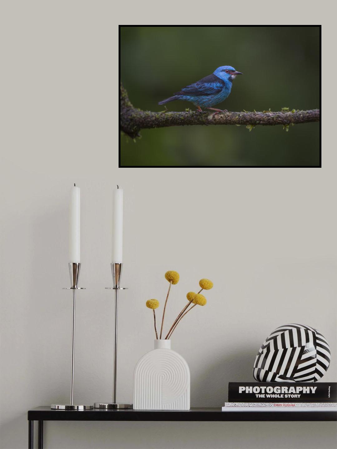 Simply Blue Poster och Canvastavla