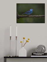 Simply Blue Poster och Canvastavla