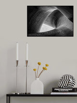 entwined Poster och Canvastavla