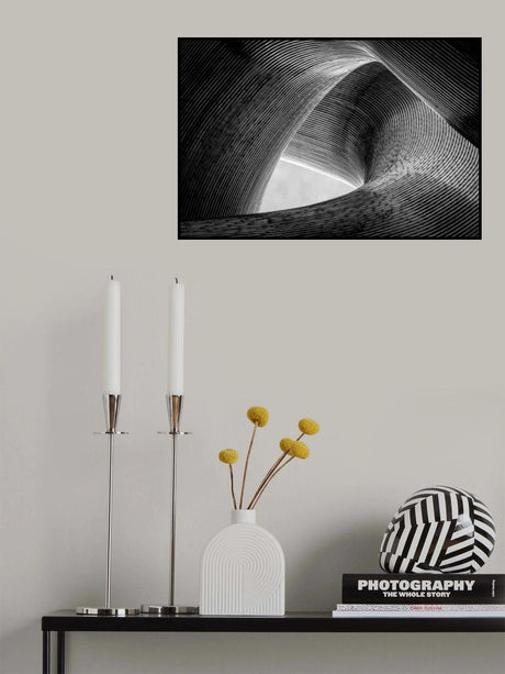 entwined Poster och Canvastavla