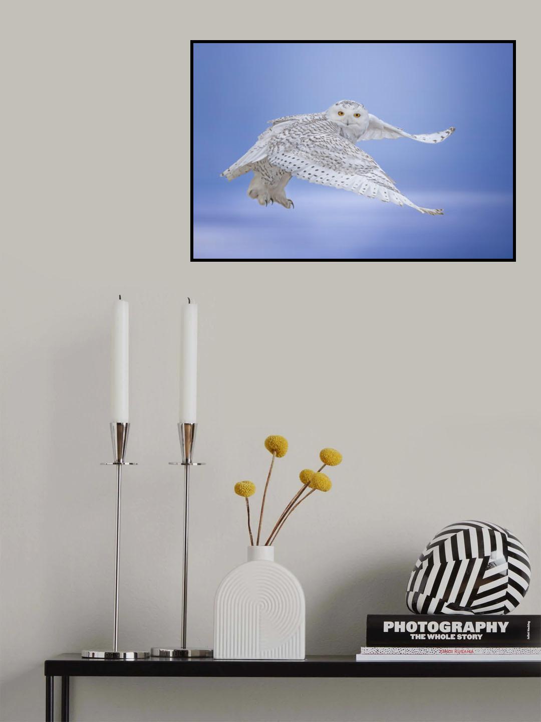See me Poster och Canvastavla