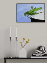 On the rubber boot. Poster och Canvastavla