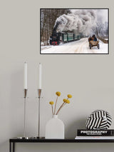Winter in Bucovina Poster och Canvastavla