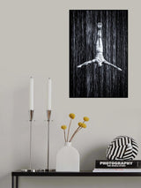 fine diving Poster och Canvastavla