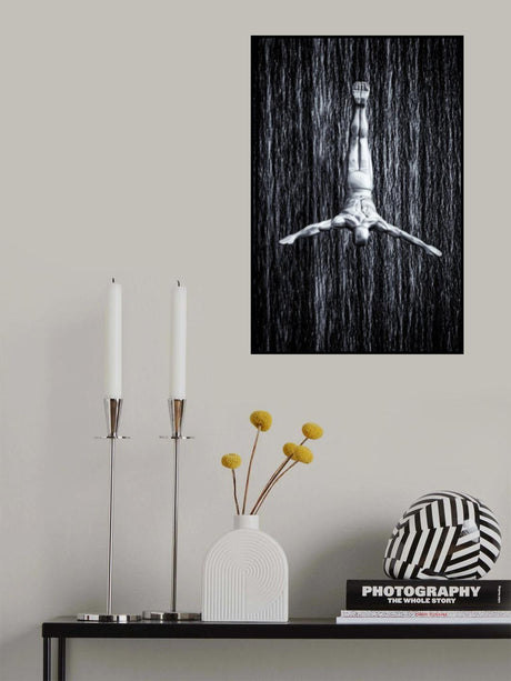 fine diving Poster och Canvastavla