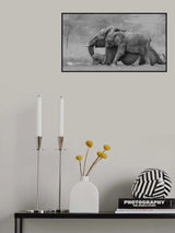 Mother Elephant and Her Calf Poster och Canvastavla