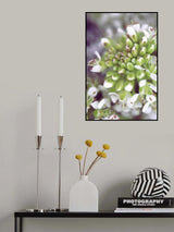 Cluster II Poster och Canvastavla