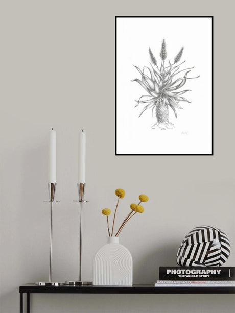 Aloe Poster och Canvastavla
