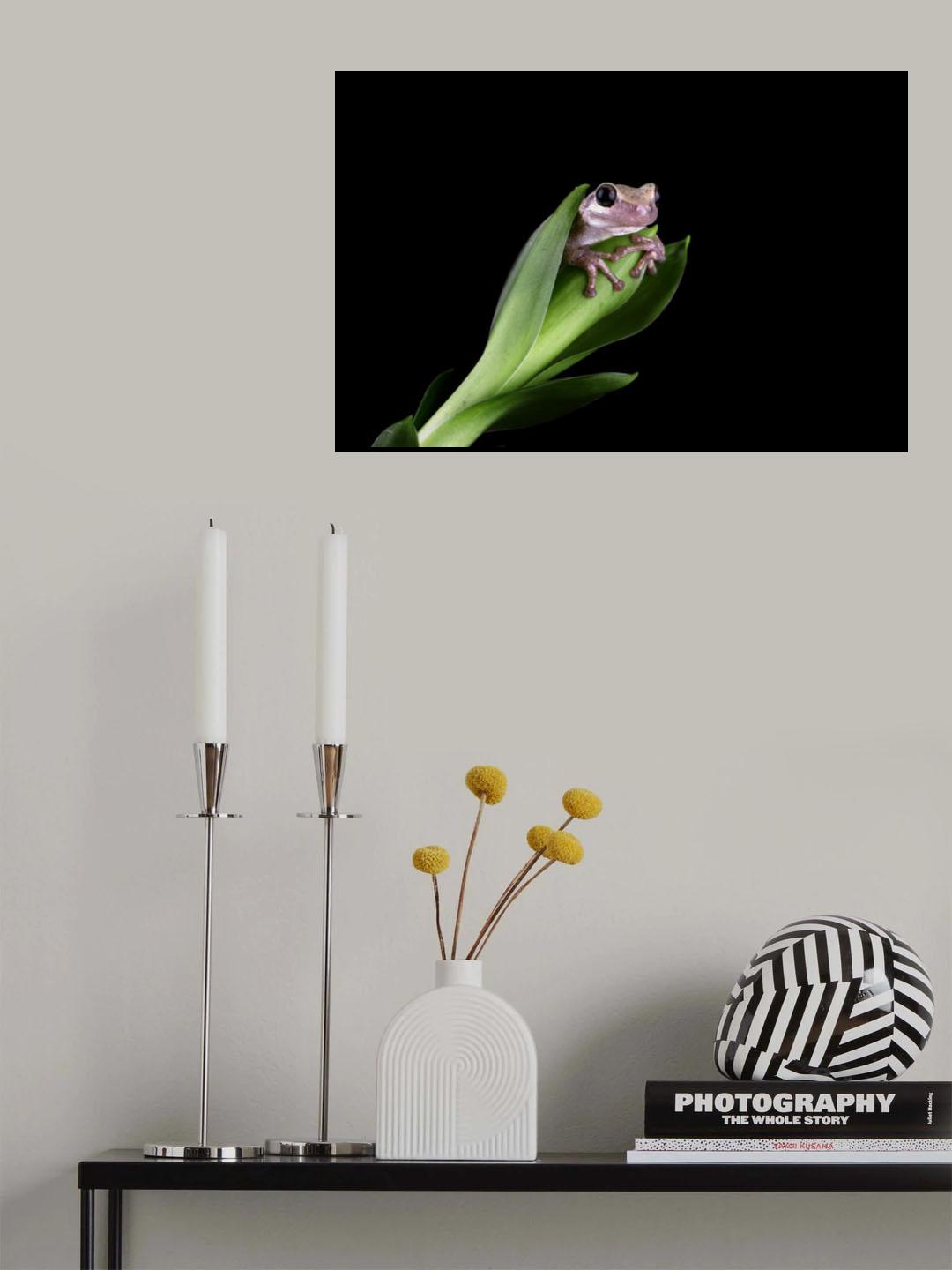 Hidding Poster och Canvastavla