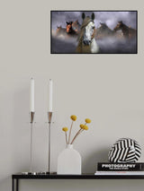 Horses Poster och Canvastavla