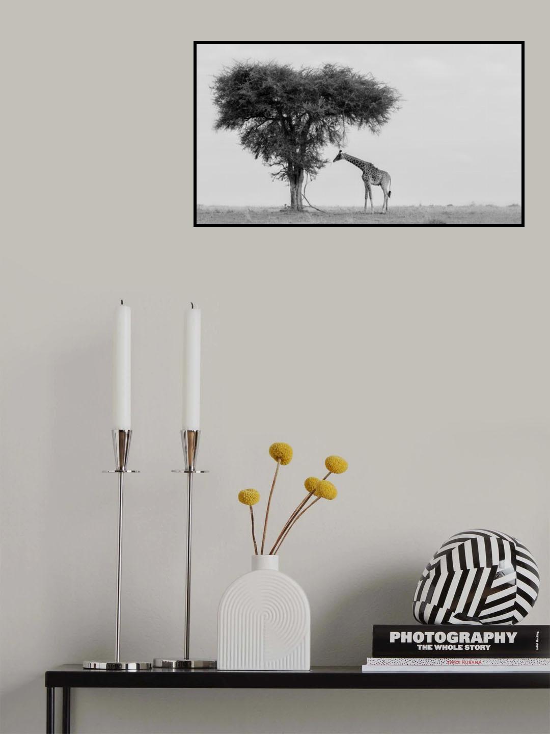 The wild Poster och Canvastavla