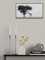The wild Poster och Canvastavla
