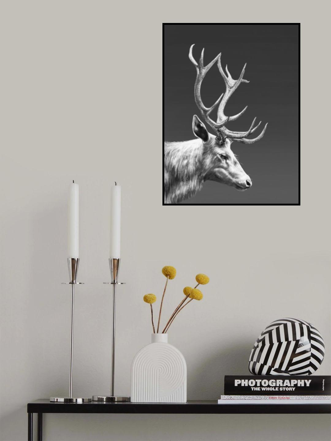 Reindeer Poster och Canvastavla