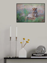 Cheetah -Tsavo East Poster och Canvastavla