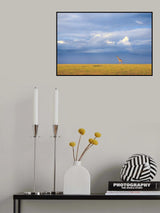 Colors of freedom Poster och Canvastavla