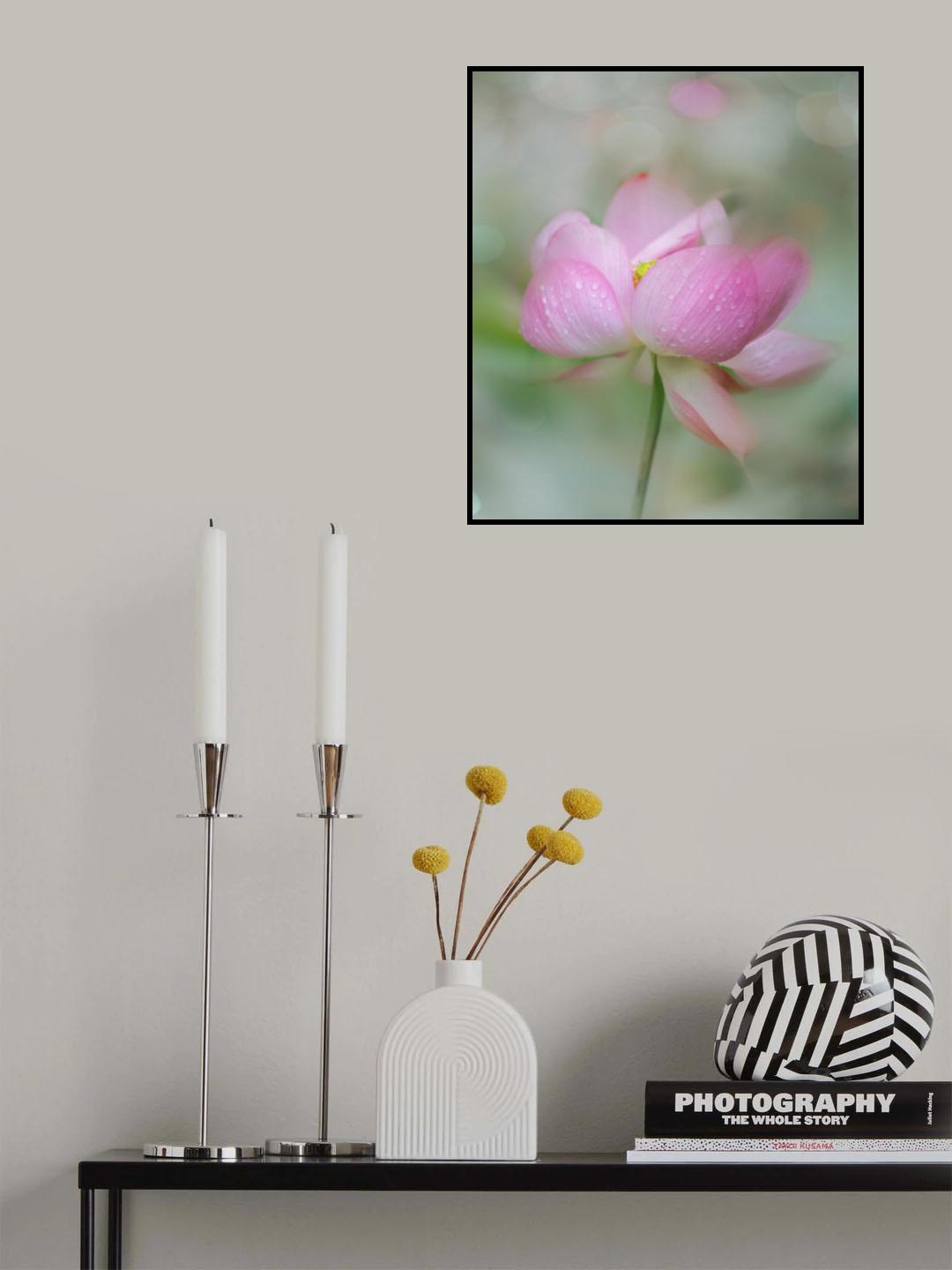 dreaming Poster och Canvastavla