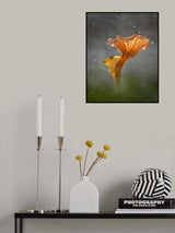 Mushroom Poster och Canvastavla