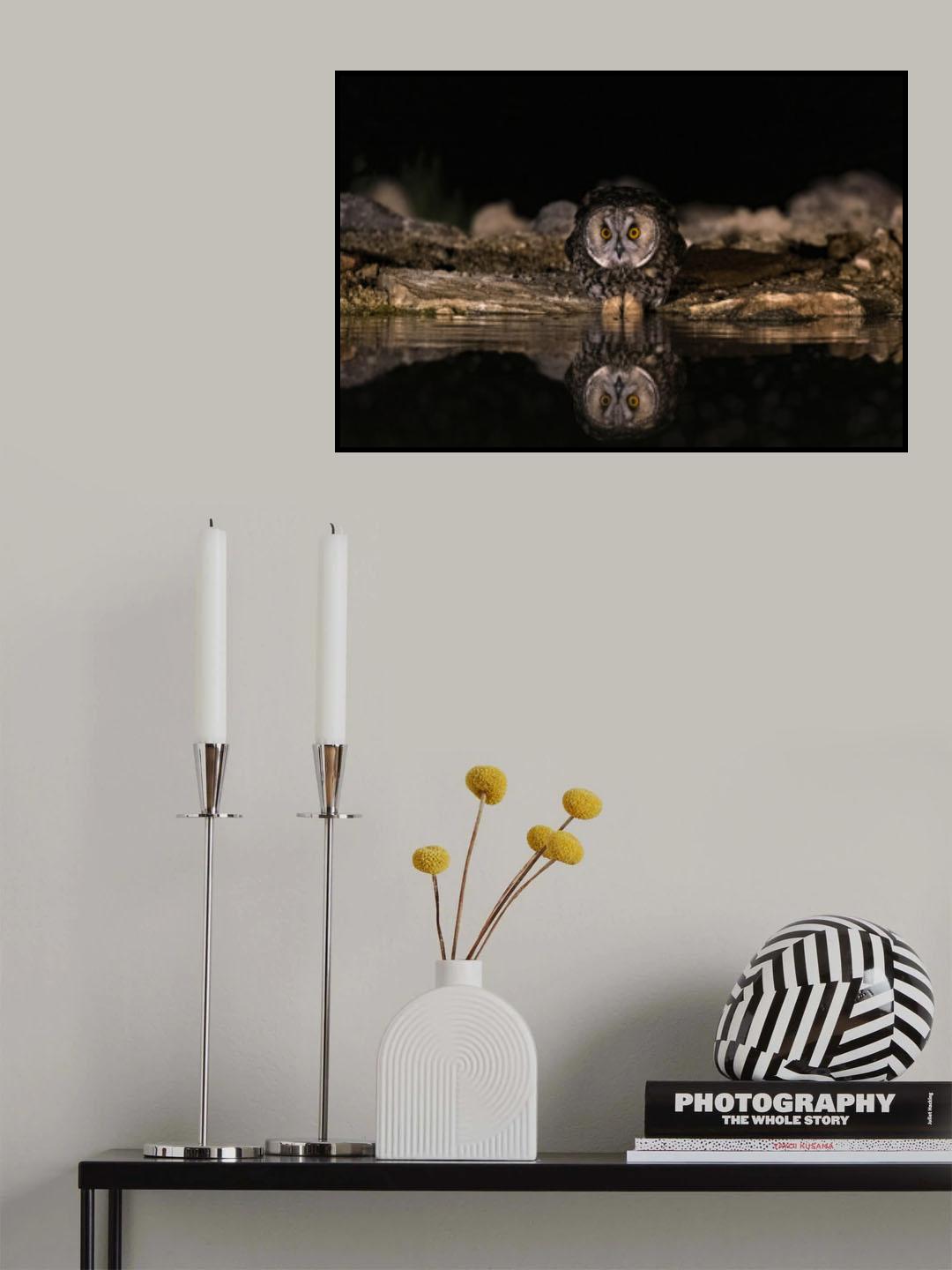 Night Creatures Poster och Canvastavla