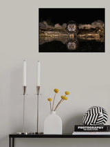 Night Creatures Poster och Canvastavla