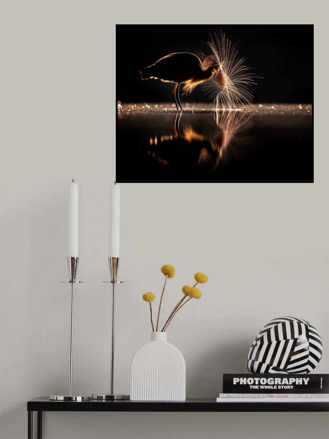 Light wheel Poster och Canvastavla